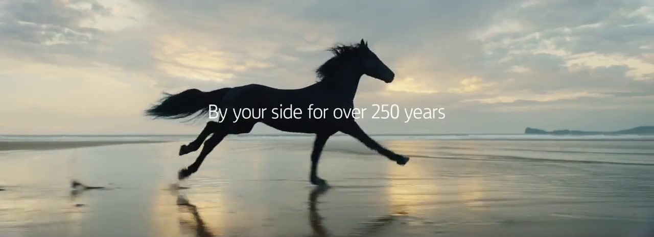 Creativity flourishes across the UK: Lloyds Bank’s iconic ad by agency adam&eveDDB was filmed in Beadnell Bay, Northumberland